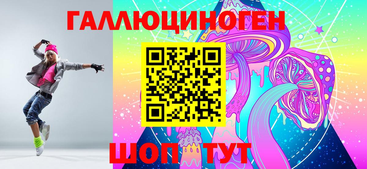 Галлюциногенные грибы Psilocybine cubensis Ставрополь