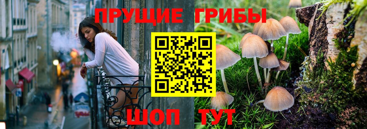 Псилоцибиновые грибы мицелий  Вход с VPN  Галлюциногенные грибы мухоморы  Ставрополь 